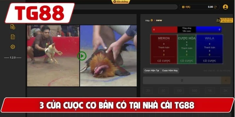 Đá Gà Cựa Dao Luck8 Siêu Phẩm Gà Chiến Nhanh Chóng Dũng Mãnh 7 3 cửa cược cơ bản có tại nhà cái TG88