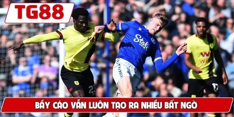 Leicester City: Kèo Cược Leicester City Tại TG88 Hôm Nay 8 Bầy cáo vẫn luôn tạo ra nhiều bất ngờ