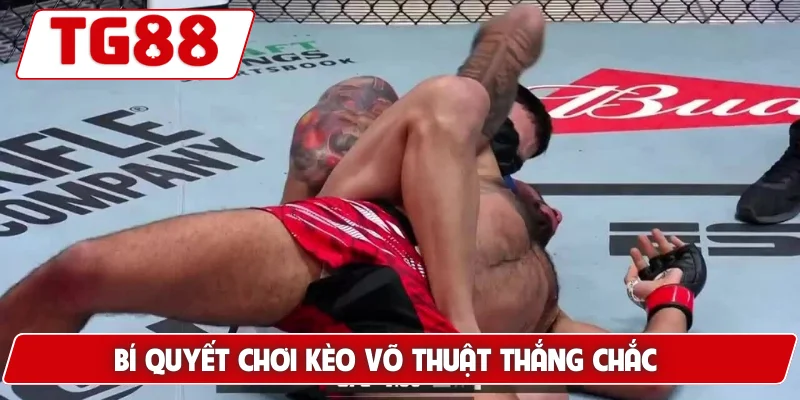 Cá Cược MMA Tại TG88 - Cảm Giác Kịch Tính Và Hồi Hộp 7 Bí quyết chơi kèo võ thuật thắng chắc