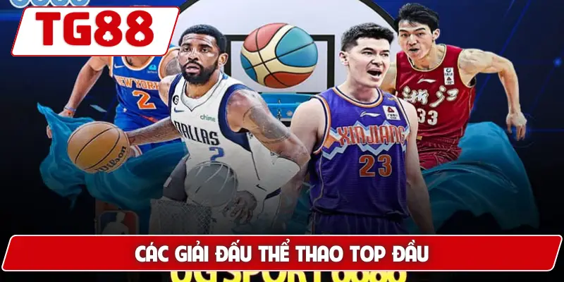 Các giải đấu thể thao top đầu