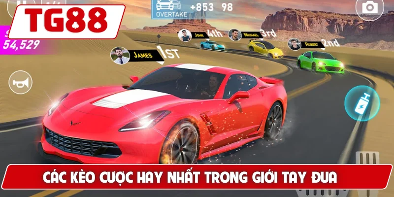 Các kèo cược hay nhất trong giới tay đua