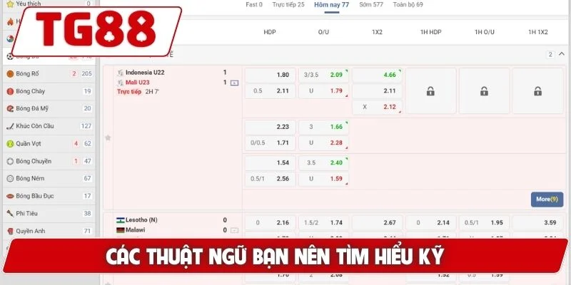 Cá Cược Bóng Đá Trực Tuyến Tại TG88 - Tỷ Lệ Kèo Hấp Dẫn 6 Các thuật ngữ bạn nên tìm hiểu kỹ