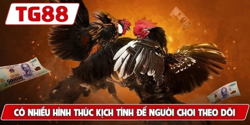 Có nhiều hình thức kịch tính để người chơi theo dõi