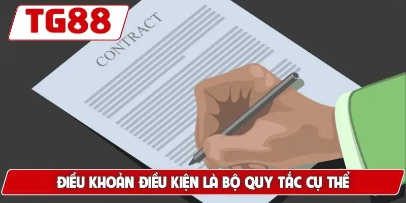 Điều khoản điều kiện là bộ quy tắc cụ thể