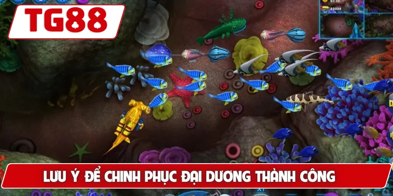 Lưu ý để chinh phục đại dương thành công