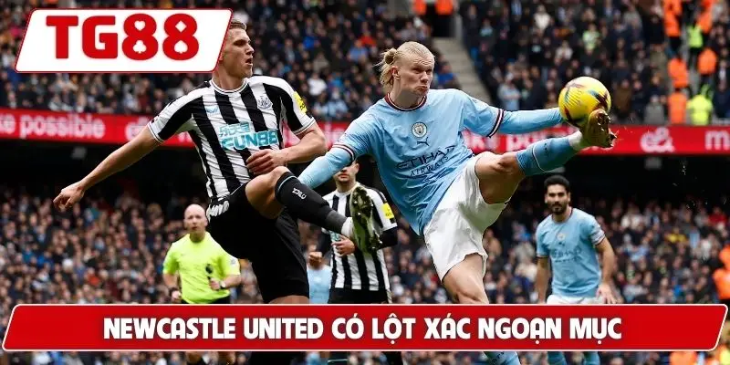 Newcastle United: Cập Nhật Kết Quả Và Kèo Cược Cùng TG88 6 Newcastle United có lột xác ngoạn mục