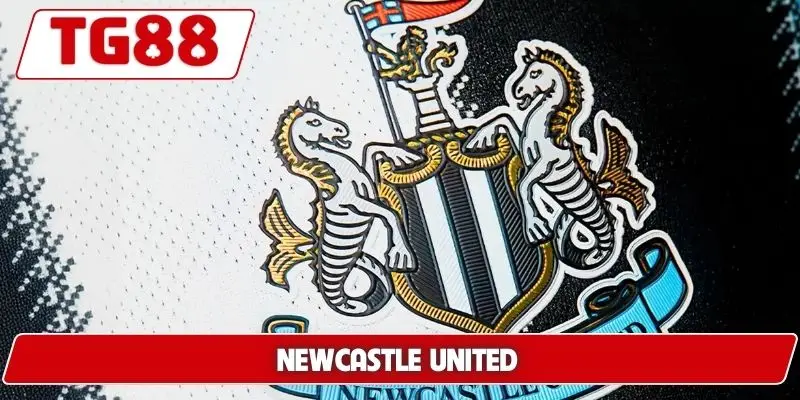 Newcastle United: Cập Nhật Kết Quả Và Kèo Cược Cùng TG88 10 Newcastle United