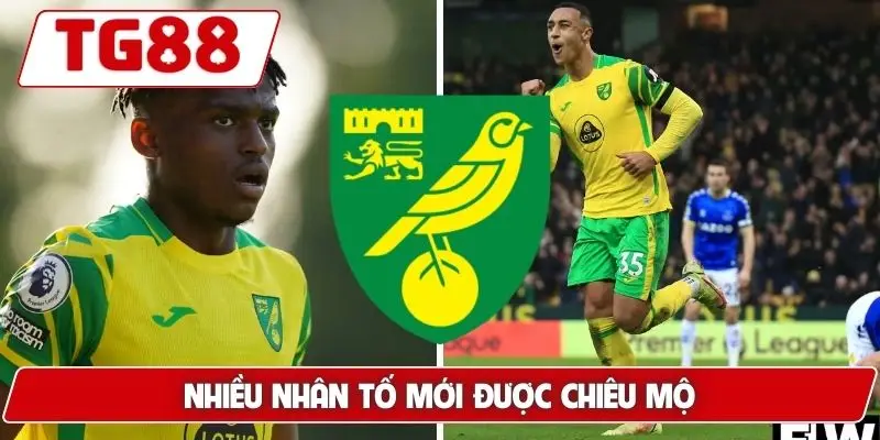 Norwich City: Cập Nhật Tin Tức Và Kèo Cược Mới Nhất Tại TG88 8 Nhiều nhân tố mới được chiêu mộ