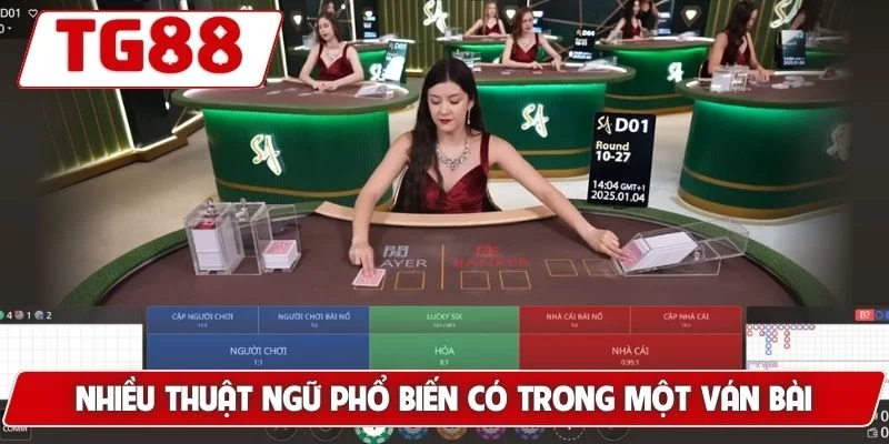 Trải Nghiệm Baccarat Đỉnh Cao Tại TG88 - Bí Kíp Chơi Chuẩn 6 Nhiều thuật ngữ phổ biến có trong một ván bài