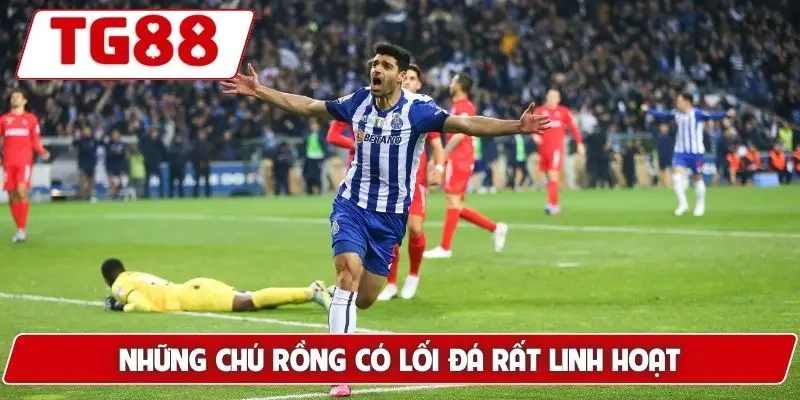 FC Porto: Kèo Cược Và Tin Tức Tại TG88 Mới Nhất 6 Những chú rồng có lối đá rất linh hoạt