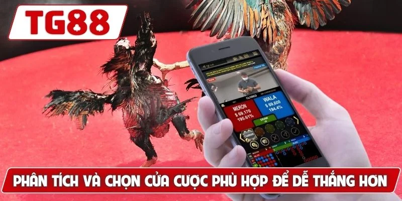 Phân tích và chọn cửa cược phù hợp để dễ thắng hơn