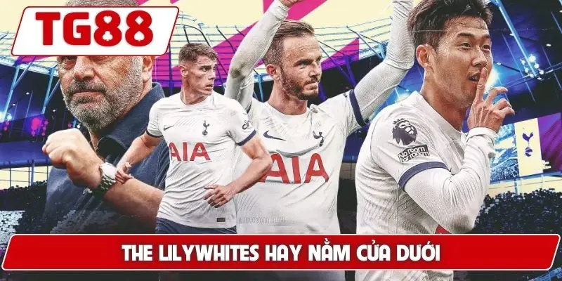 The Lilywhites hay nằm cửa dưới