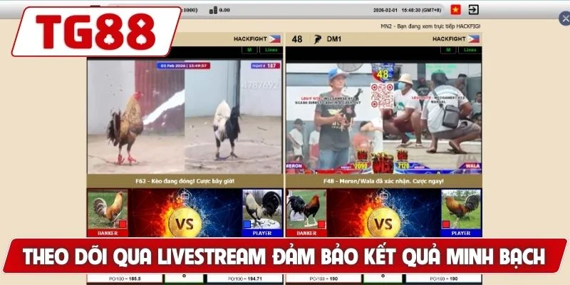 Theo dõi qua livestream đảm bảo kết quả minh bạch