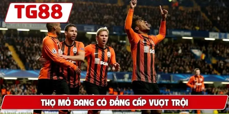 Shakhtar Donetsk: Kèo Shakhtar Donetsk Và Tin Tức Tại TG88 9 Thợ mỏ đang có đẳng cấp vượt trội